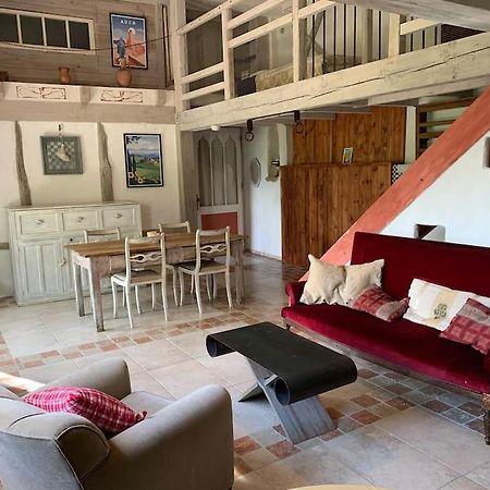 Le Tapis Vert - Loft Avec Jardin Auch Eksteriør billede