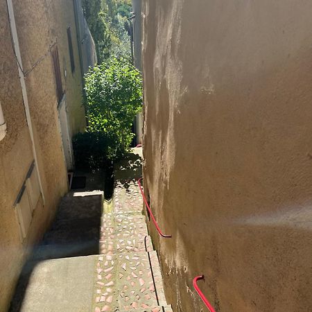 Le Tapis Vert - Loft Avec Jardin Auch Eksteriør billede