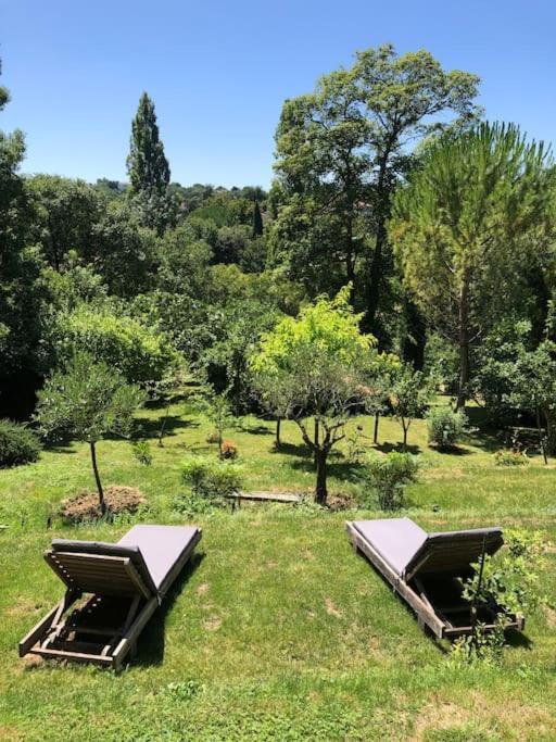 Le Tapis Vert - Loft Avec Jardin Auch Eksteriør billede