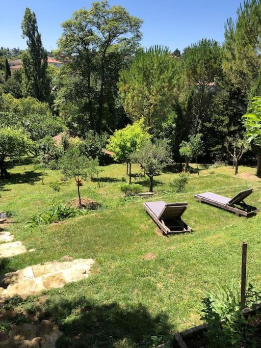 Le Tapis Vert - Loft Avec Jardin Auch Eksteriør billede